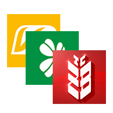 Türkiye Banka Transferi